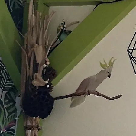 公寓 Orval Et Sens - Le Rayon