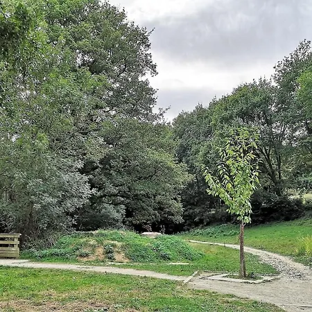 公寓 Orval Et Sens - Le Rayon